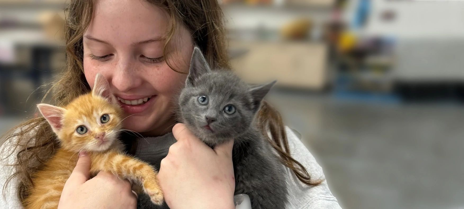 Find Your Furry Friend at Our Animal Rescue